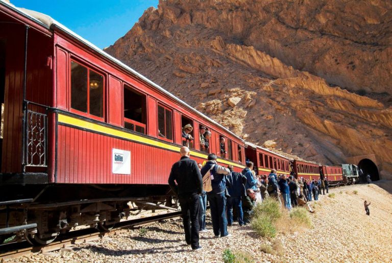 Red Lizard Train